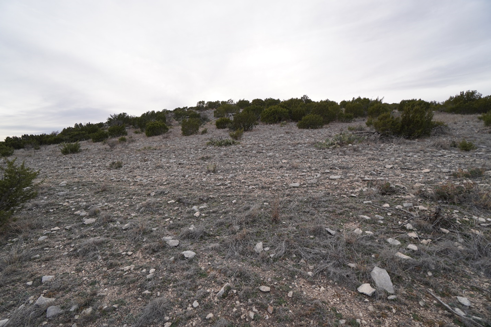 Rocks-Drought-Rangeland Recovery | Rangelands and Ranching